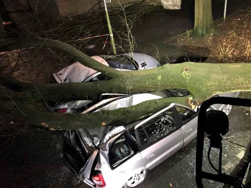 Stormschade als resultaat van Ciara