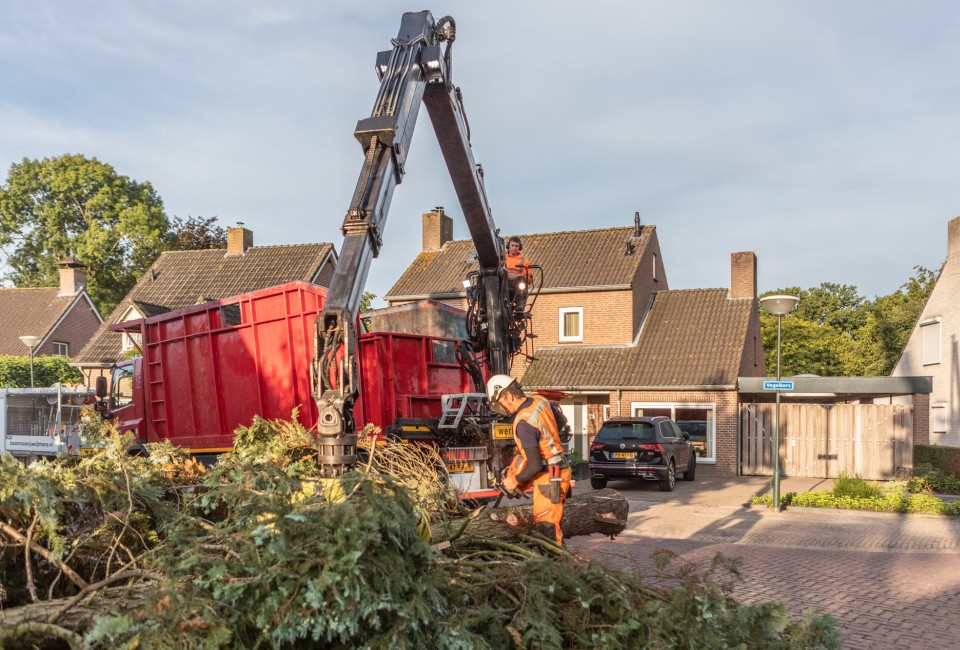 Leerling Boomverzorger Stagiair Bbl Boomrooierij Weijtmans 5645