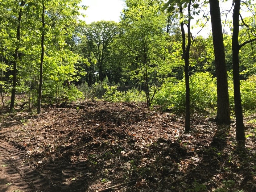 Tilburgsbos klaar voor zomerseizoen