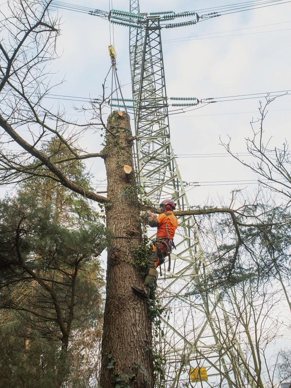 Weijtmans_rooiwerk_onder_hoogspanning.jpg