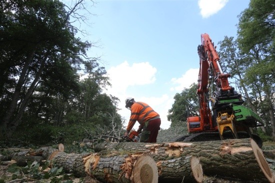 Renovatie natuurgebied Kampina