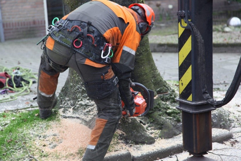 Weijtmans behaalt opnieuw Veiligheid certificering